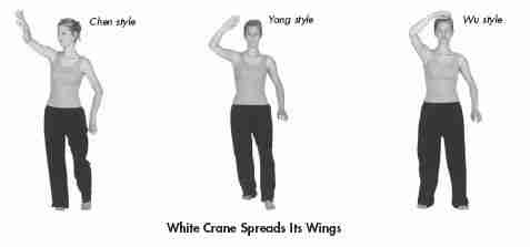 tai chi white crane styles