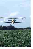 plane spraying field
