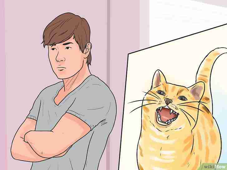 Gambar berjudul Stop a Cat from Biting and Scratching Step 7