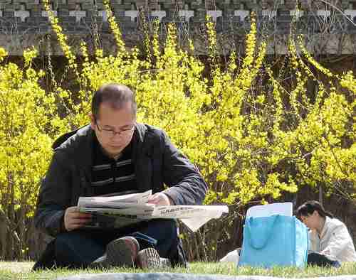 以Reading the newspaper in Chinese Park为标题的图片
