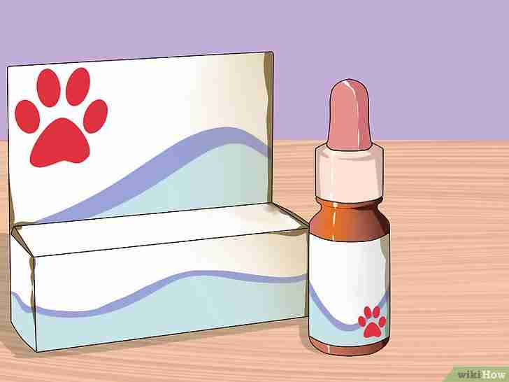 Titel afbeelding Get Rid of Ear Mites in a Cat Step 6
