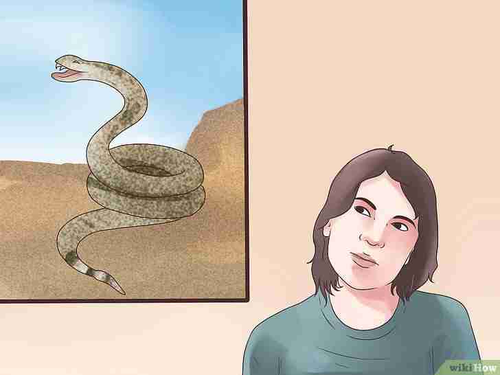 以Avoid a Rattlesnake Attack Step 8为标题的图片